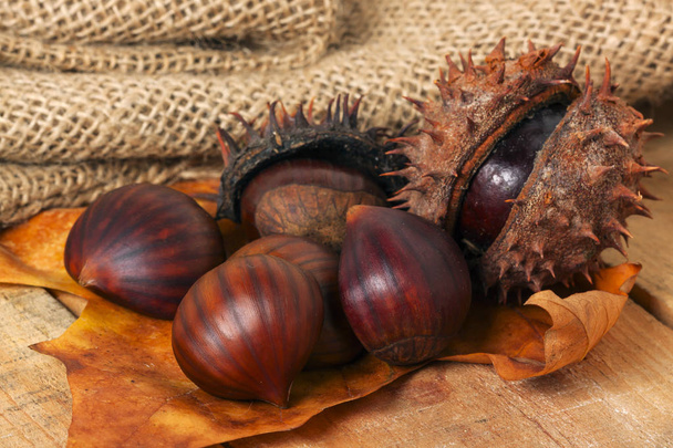chestnut on wood background - Photo, Image