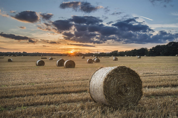 Красиве сільське пейзажне зображення тюків сіна в літній час
 - Фото, зображення