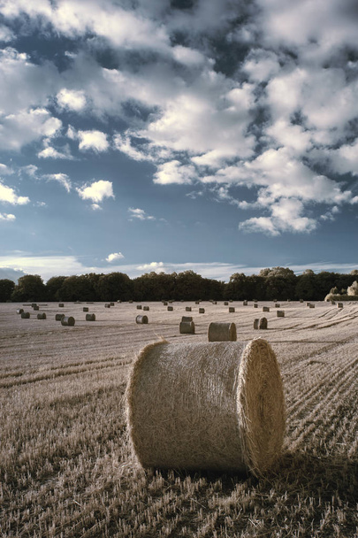 Beautiful countryside landscape  infrared image of hay bales in  - Photo, Image
