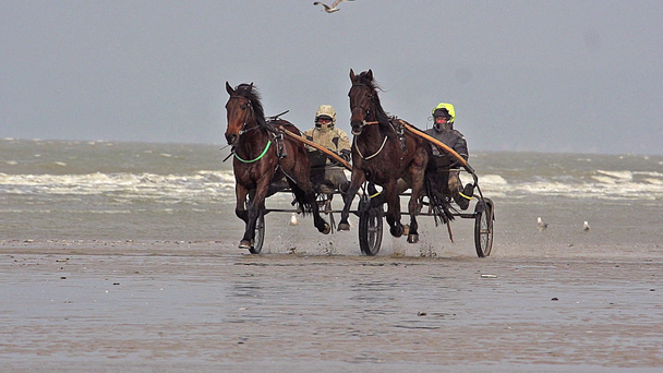 Harness racing during Training on the Beach - Footage, Video
