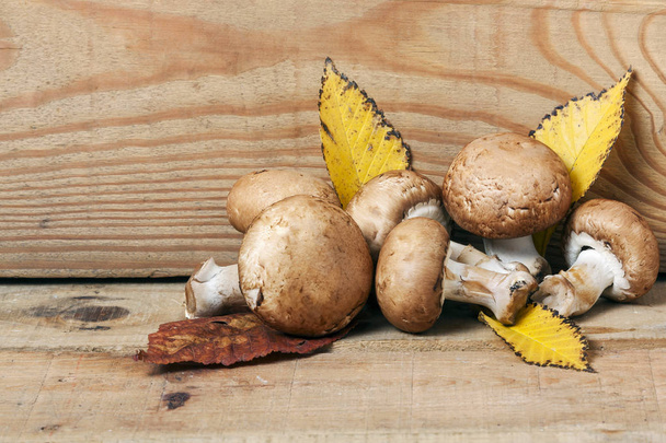 champignon mushroom on wood background - Fotoğraf, Görsel