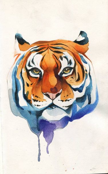 Cabeza de tigre pintada en acuarela
 - Foto, Imagen