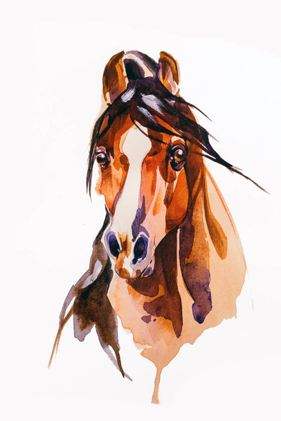 drawing head of the horse - Photo, Image