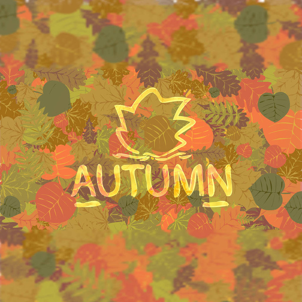 Fondo de hojas de otoño. - Vector, imagen
