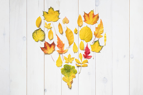 colorful autumn leafs in the shape of a heart. flat lay - Foto, imagen