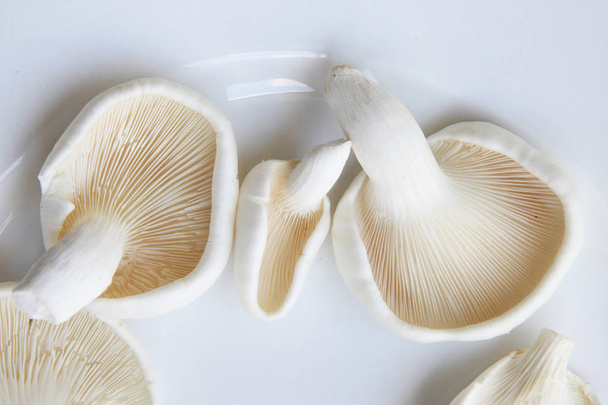 An array of mushrooms - Photo, Image