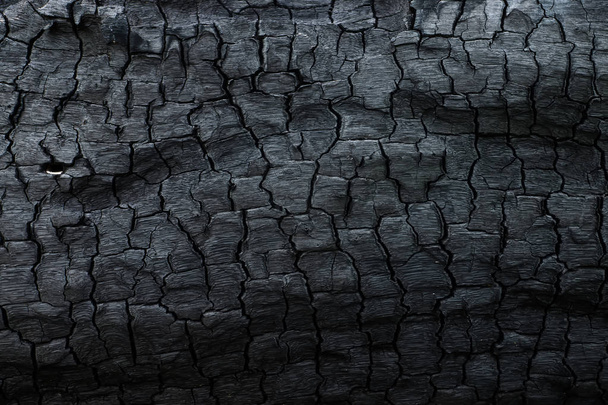 Details on the surface of charcoal. - Fotoğraf, Görsel
