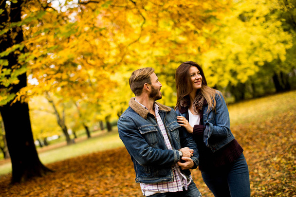 Loving couple in the autumn park - Fotó, kép