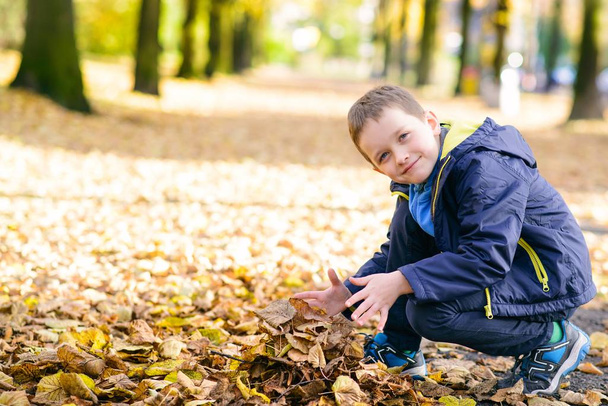Happy smiling little boy playing with leaves - Φωτογραφία, εικόνα