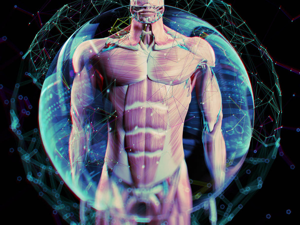 Augmented reality. Human anatomy - Photo, Image