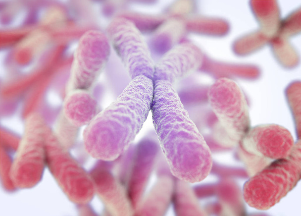 Microscopische chromosomen X-modellen - Foto, afbeelding