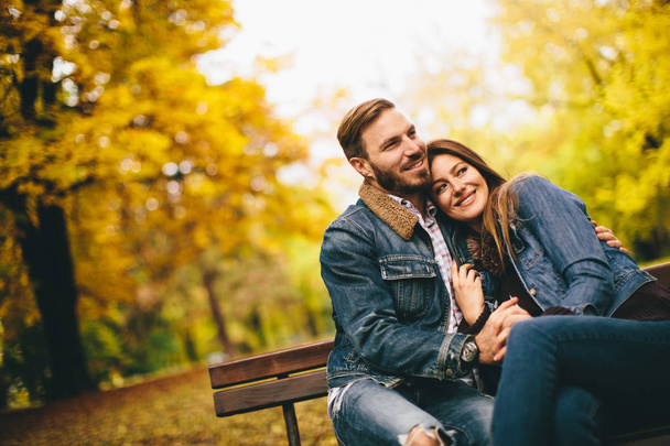 Jeune couple dans le parc d'automne
 - Photo, image