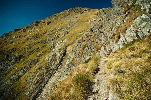 Landscape with mountain trail - Foto, Imagem
