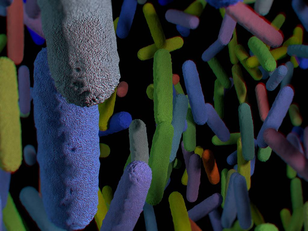 Mikrobiom von Darmbakterien - Foto, Bild