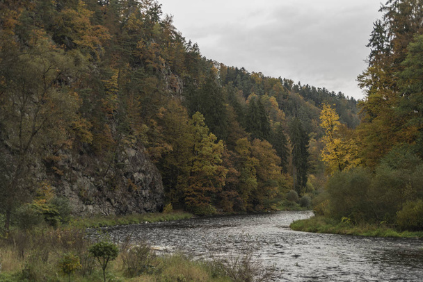 River Vltava near Divci Kamen ruin in autumn - Photo, Image