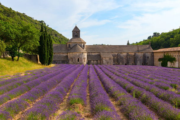Un ancien monastère Abbaye Notre-Dame de Senanque
 - Photo, image