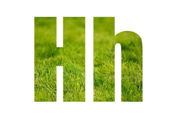 Double exposure with green grass. Letter H. Isolated on white background - Zdjęcie, obraz