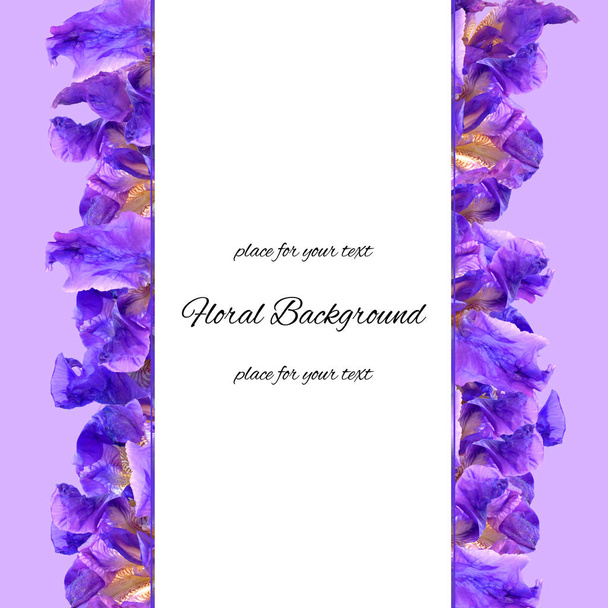 background texture made of iris and place for text - Photo, Image