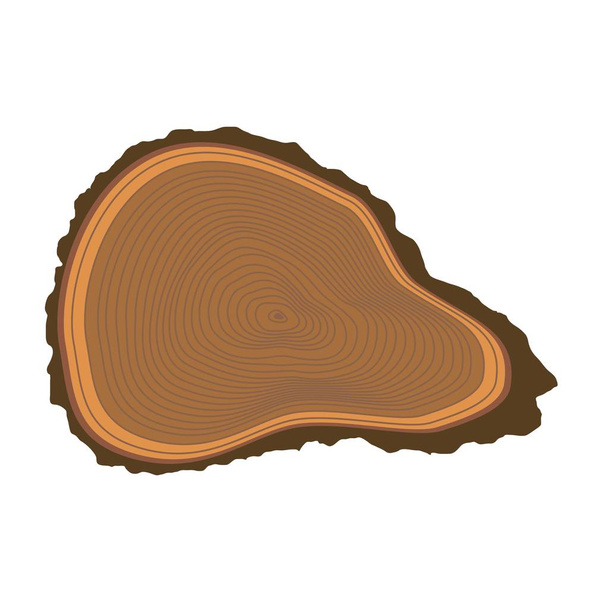 Tree slices vector isolated - Vector, Image
