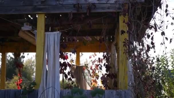 old porch at sunset in autumn - Filmati, video