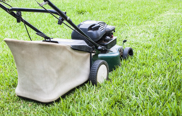 The Lawn mower working in the green yard - Photo, Image