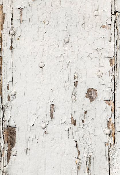 Barva loupání u starých dřevěných dveří  - Fotografie, Obrázek
