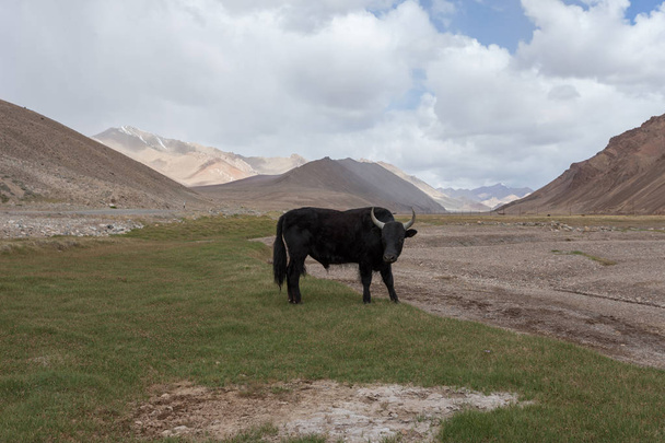 Région de Pamir Fédération de Russie Asie centrale paysages de montagne
 - Photo, image