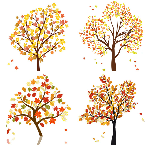 Set of four autumn tree - Vector, Image