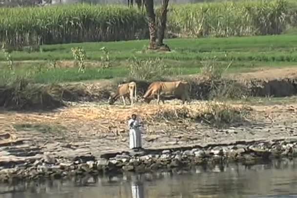 Fishing the Nile - Footage, Video