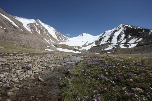 Pamir Region Russische Föderation Zentralasien Berglandschaften - Foto, Bild