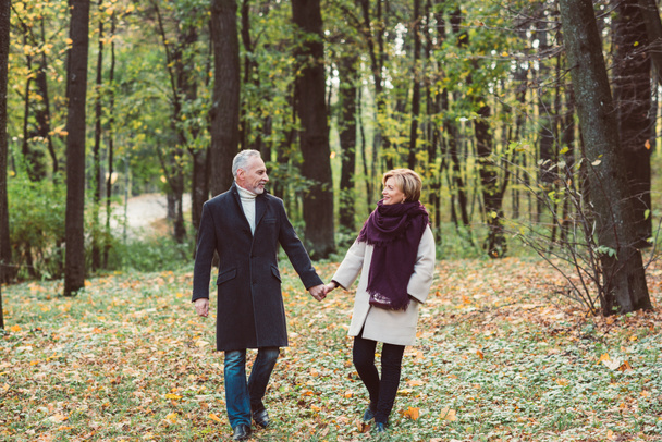 Mature couple walking in autumn park - Photo, Image