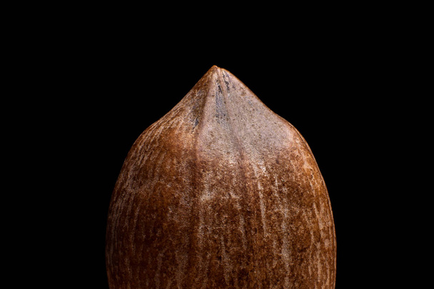 Macro view on pecan nut isolated on black background - Foto, imagen