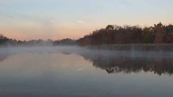 Φθινόπωρο ομίχλη σε ένα τροπικό δάσος - Πλάνα, βίντεο