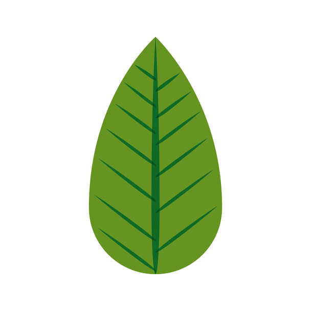 folha verde silhueta com ramificações
 - Vetor, Imagem
