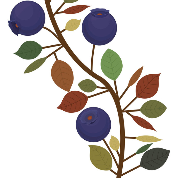 closeup větev s fialovým přírodní borůvky - Vektor, obrázek