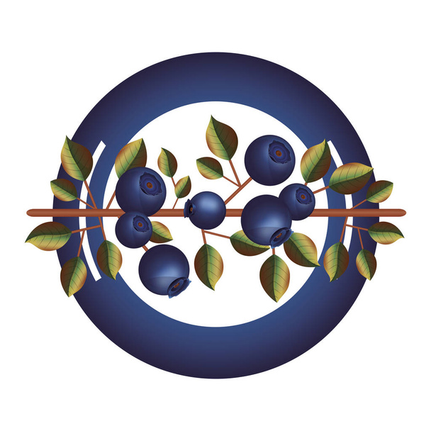 皿ブルーベリーの枝と葉 - ベクター画像