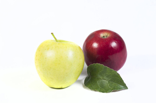 яблони осенние
 - Фото, изображение