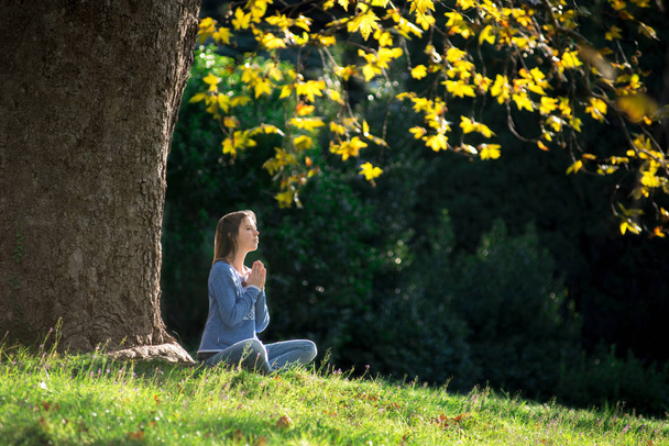 女の子は、秋のもみじの木の下の草の上に座って瞑想します。 - 写真・画像