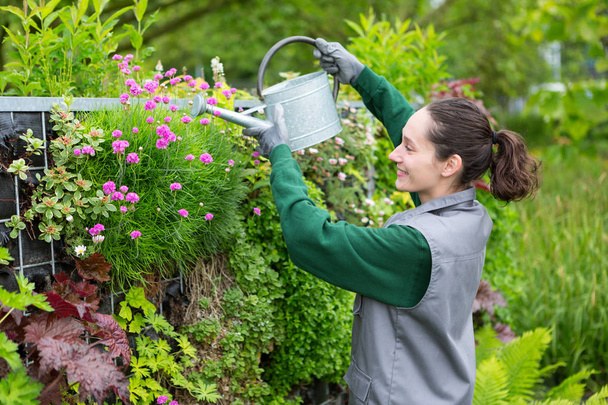 woman working in garden - Zdjęcie, obraz