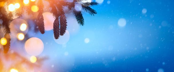 Art Christmas background with Christmas tree and holidays light - Photo, Image