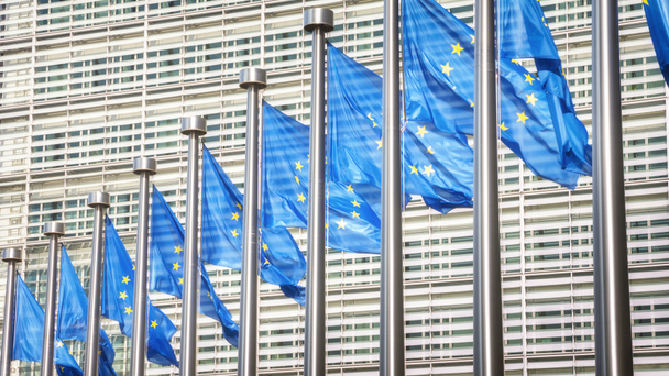 Drapeaux de l'Union européenne agitant le vent
  - Séquence, vidéo
