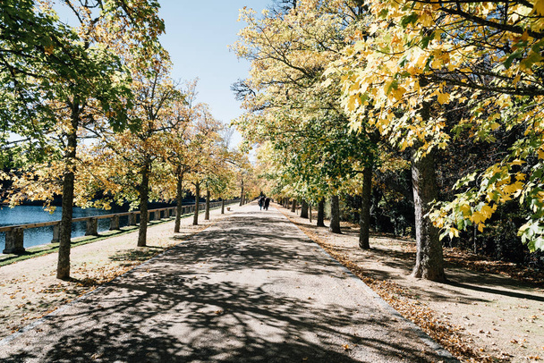 Sentier en automne
 - Photo, image
