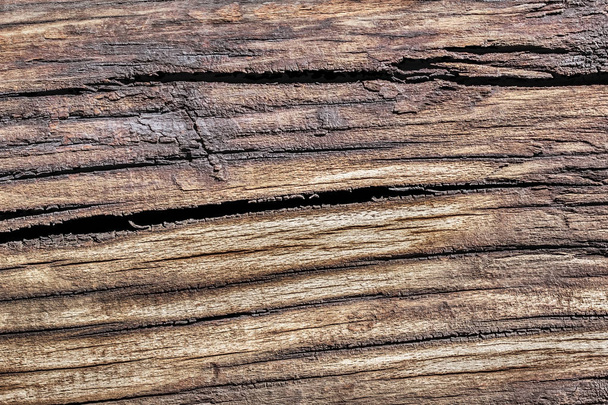 Old Weathered Rotten Cracked Wood Grunge Texture - Photo, Image