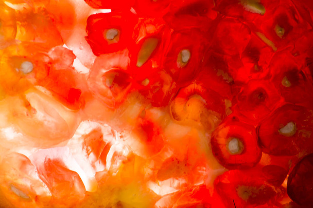 Detail des Granatapfels isoliert auf weißem Hintergrund - Foto, Bild