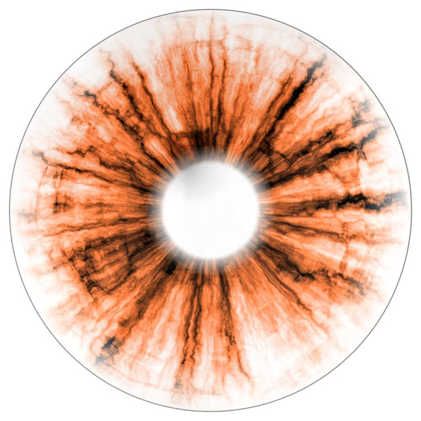 Illustration des Auges negativ, orangefarbene Iris, Lichtreflexion. mittlere Größe der Augen. - Foto, Bild