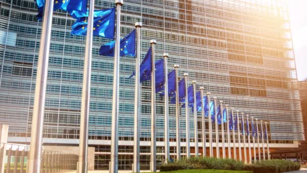 Fahnen der Europäischen Union wehen im Wind - Filmmaterial, Video