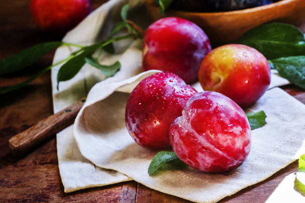 Red plums with leaves - Photo, image