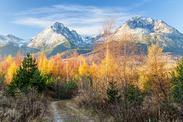 ロッキー山脈高タトラ山脈、スロバキアの秋 - 写真・画像
