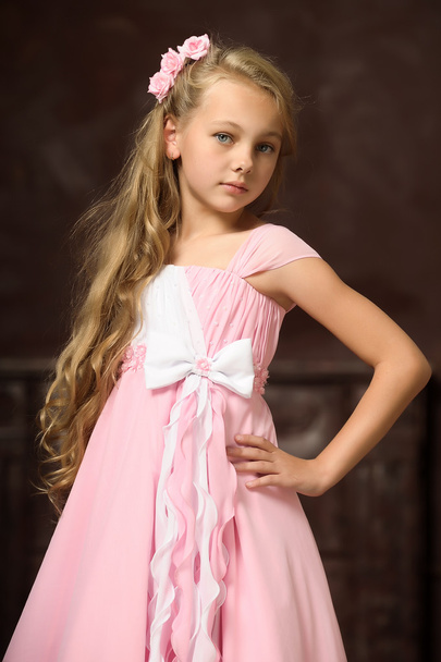 Beautiful young blonde girl with long hair in a pink princess dress. - 写真・画像