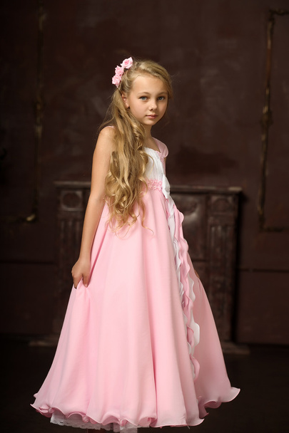 Bella ragazza bionda con i capelli lunghi in un abito da principessa rosa
. - Foto, immagini